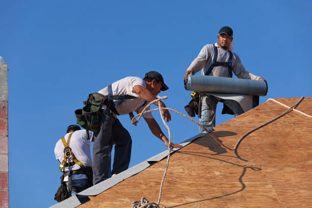 Roof Gutter Cleaning in Booneville, AR